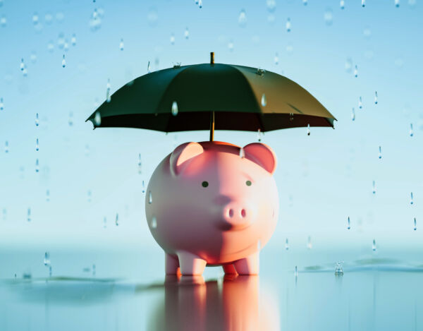Piggy Bank under umbrella image