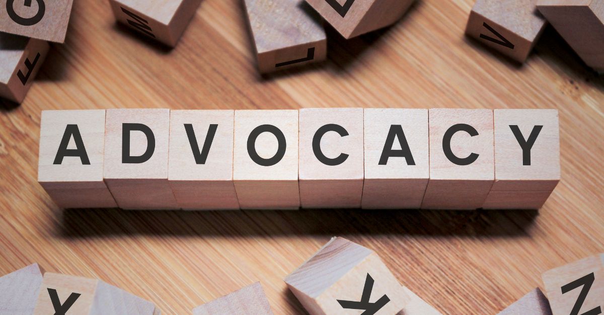 Advocacy bricks image