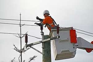 Female Electrician Image